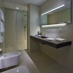 Best Western Plus Hotel Bologna 4* Стандартный номер с двуспальной кроватью