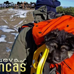 Отель Cuevas Blancas спортивное сооружение
