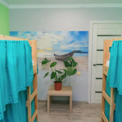 Hostel Inzhir комната для гостей фото 4