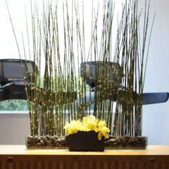 Отель Ana Intercontinental Tokyo Япония, Токио - 1 отзыв об отеле, цены и фото номеров - забронировать отель Ana Intercontinental Tokyo онлайн фото 2