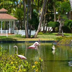 Отель Catalonia Punta Cana - Все включено фото 6