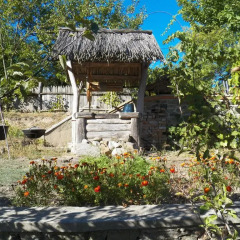 Гостиница Zelena Sadyba Holodnoyarskyi Zorepad фото 3
