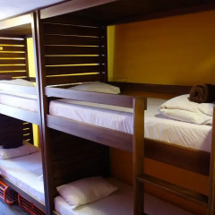 Naughty Squirrel Backpackers Hostel Кровать в общем номере с двухъярусной кроватью фото 3