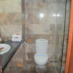 Sunshine Hotel 3* Стандартный номер фото 4
