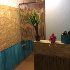 Aloha Hostel спа