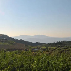 Отель Casa de Sao Miguel Douro Португалия, Армамар - отзывы, цены и фото номеров - забронировать отель Casa de Sao Miguel Douro онлайн фото 3