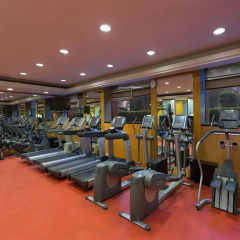 Отель Sheraton New Delhi Hotel Индия, Нью-Дели - отзывы, цены и фото номеров - забронировать отель Sheraton New Delhi Hotel онлайн фитнесс-зал фото 3