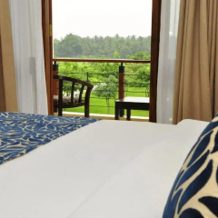 Ruins Chaaya Hotel 4* Номер Делюкс с различными типами кроватей фото 21