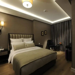 Le Petit Palace Hotel 3* Номер Делюкс с различными типами кроватей фото 7