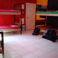 Neverland Hostel Кровать в общем номере фото 5