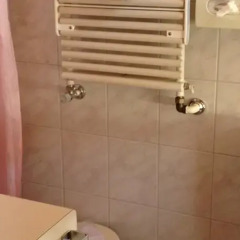 Hotel Alpina ванная