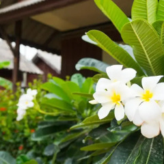 Отель Weekender Bungalow Самуи спа