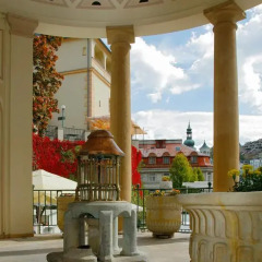 Отель Spa Hotel Dvorák Чехия, Карловы Вары - 6 отзывов об отеле, цены и фото номеров - забронировать отель Spa Hotel Dvorák онлайн фото 10