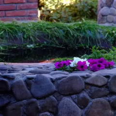 Гостиница Гостинично-оздоровительный комплекс Живая вода Волосянка фото 5