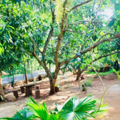 Отель Kataragama Homestay пляж
