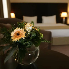 Grand Palace Hotel Hannover 4* Стандартный номер с различными типами кроватей фото 6