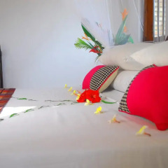 Отель Villa Mangrove Номер Делюкс фото 8