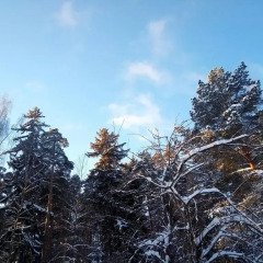 Хостел Бор на Волге