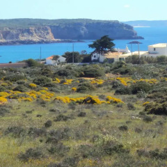 Отель Casa Grilo