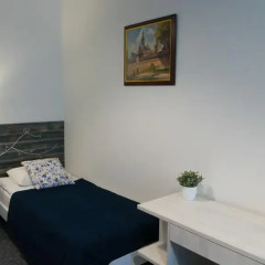 Central MINI HOTEL комната для гостей фото 5
