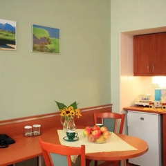 Отель Penzion Fan 3* Студия с различными типами кроватей фото 19