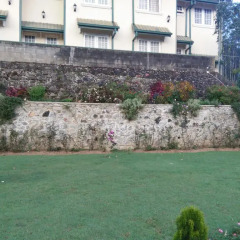 Ellitte Garden Hotel фото 6