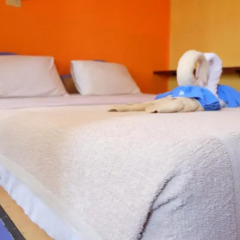 B&B House & Hostel Стандартный номер с различными типами кроватей фото 11