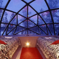 Отель Kakslauttanen Arctic Resort - Igloos and Chalets 4* Стандартный номер с различными типами кроватей фото 6
