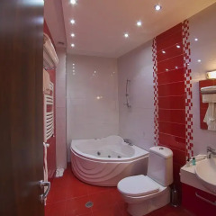 Alpina Hotel спа