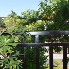 Отель Hoian Succulent Homestay 2* Номер Делюкс с различными типами кроватей фото 34