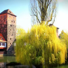 Отель Burghotel Nürnberg Германия, Нюрнберг - отзывы, цены и фото номеров - забронировать отель Burghotel Nürnberg онлайн приотельная территория
