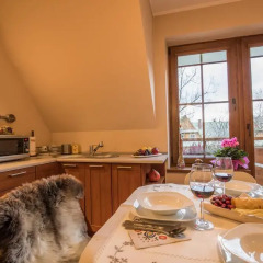 Отель Apartamenty za Strugiem Польша, Закопане - отзывы, цены и фото номеров - забронировать отель Apartamenty za Strugiem онлайн в номере