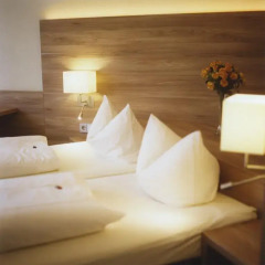 Hotel Jedermann 2* Улучшенный номер с двуспальной кроватью фото 11