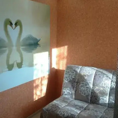 Гостиница около Диагностического центра в Иркутске отзывы, цены и фото номеров - забронировать гостиницу около Диагностического центра онлайн Иркутск комната для гостей фото 5