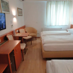 City Hotel Albrecht 3* Стандартный номер фото 3