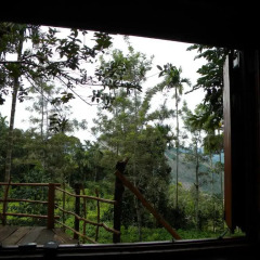 Отель Aelam Home Stay Cabana комната для гостей фото 3