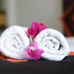 Отель Botanic Garden Villas 3* Номер Делюкс с 2 отдельными кроватями фото 4