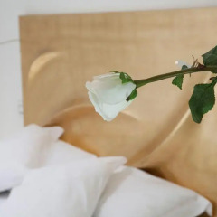 Hotel Home Florence 4* Стандартный номер с различными типами кроватей фото 2