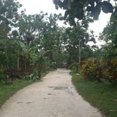 Ravihina Home Stay in Munda, Solomon Islands from 385$, photos, reviews - zenhotels.com photo 4