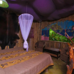 Отель Great Huts 3* Бунгало с различными типами кроватей фото 18