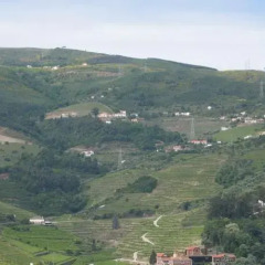 Отель Quinta De Tourais Португалия, Ламего - отзывы, цены и фото номеров - забронировать отель Quinta De Tourais онлайн фото 7