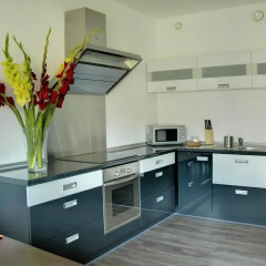 Апартаменты Silver Apartments Апартаменты с различными типами кроватей