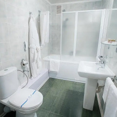 Гостиница Британия 4* Стандартный номер фото 2