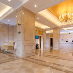 Vienna Hotel Shenzhen Shuiku New Village Шэньчжэнь интерьер отеля
