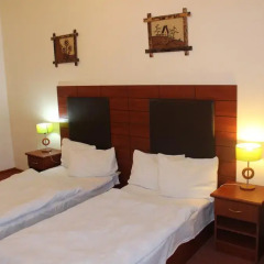 Diligence Hotel 3* Номер Комфорт с различными типами кроватей фото 4