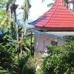 Отель Rio Vista Resort 2* Вилла с различными типами кроватей фото 29