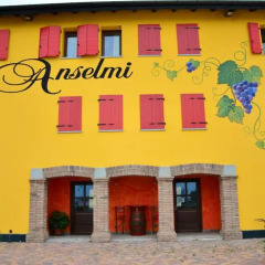 Отель Là Di Anselmi Стандартный номер фото 10