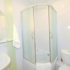 Отель Ирис 3* Стандартный номер фото 19