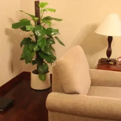 Отель Metropark Hotel Shenzhen Китай, Шэньчжэнь - отзывы, цены и фото номеров - забронировать отель Metropark Hotel Shenzhen онлайн спа