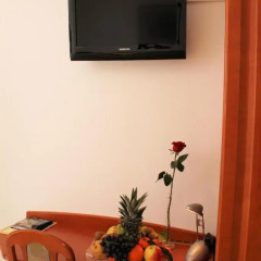 Hotel Vila Tina 3* Стандартный номер с различными типами кроватей фото 6
